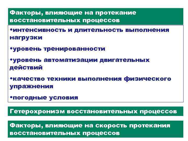 Восстановительные процессы обеспечивает. Факторы, влияющие на протекание беременности?. Виды восстановительных процессов. Физиологическая характеристика восстановительных процессов. Гетерохронизм восстановительных процессов:.