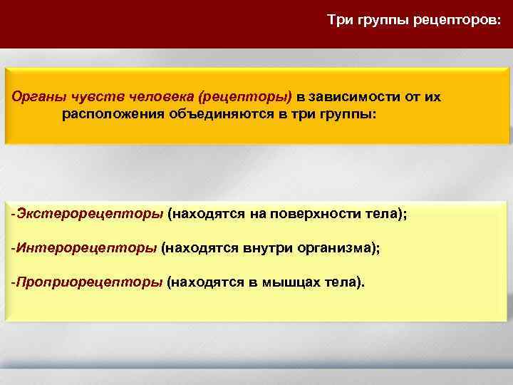 Три группы рецепторов: Органы чувств человека (рецепторы) в зависимости от их расположения объединяются в
