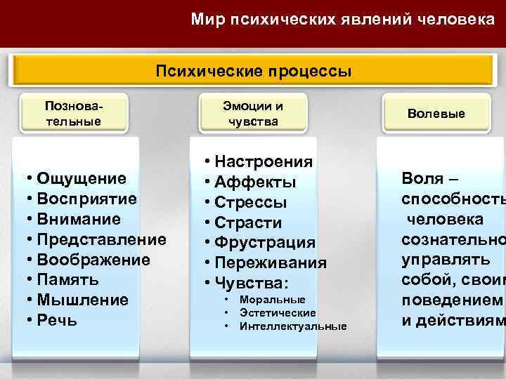 Мир психических явлений человека Психические процессы Позновательные • Ощущение • Восприятие • Внимание •