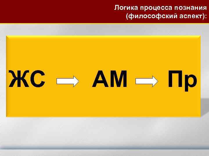 Логика процесса познания (философский аспект): ЖС АМ Пр 