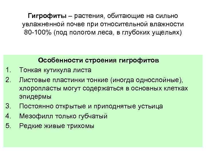 Гигрофиты – растения, обитающие на сильно увлажненной почве при относительной влажности 80 -100% (под