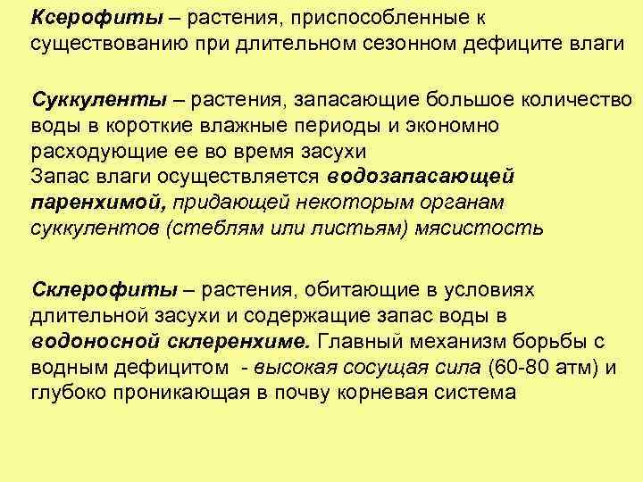 Ксерофиты – растения, приспособленные к существованию при длительном сезонном дефиците влаги Суккуленты – растения,