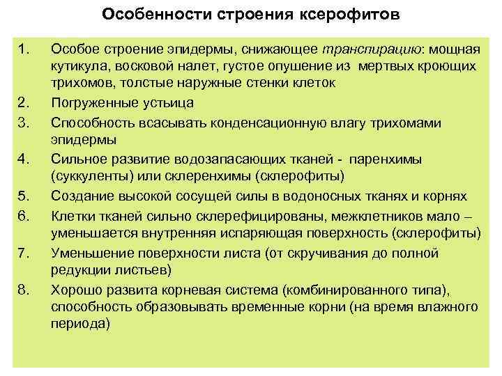 Особенности строения ксерофитов 1. 2. 3. 4. 5. 6. 7. 8. Особое строение эпидермы,