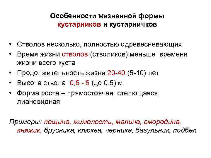 Особенности жизненной формы кустарников и кустарничков • Стволов несколько, полностью одревесневающих • Время жизни