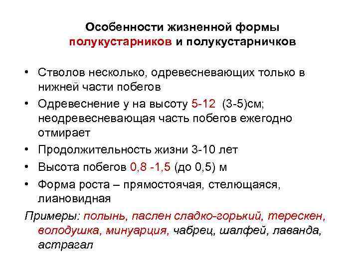 Особенности жизненной формы полукустарников и полукустарничков • Стволов несколько, одревесневающих только в нижней части