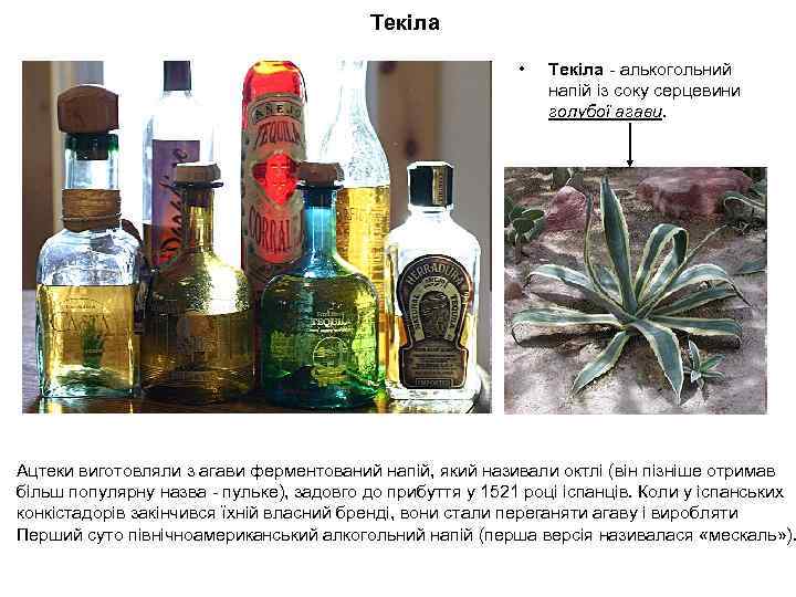 Текіла • Текіла - алькогольний напій із соку серцевини голубої агави. Ацтеки виготовляли з