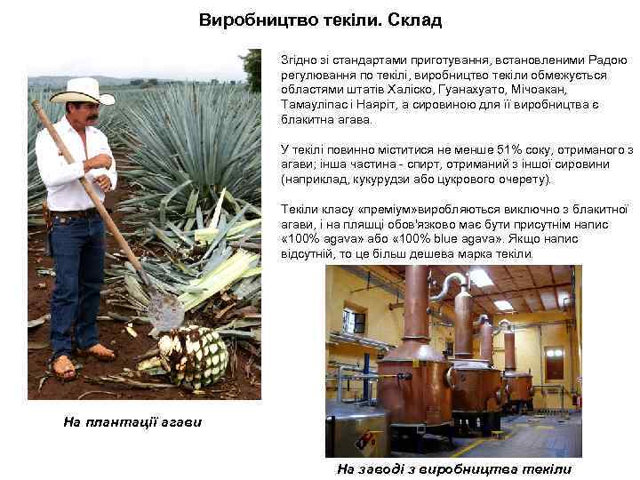 Виробництво текіли. Склад Згідно зі стандартами приготування, встановленими Радою регулювання по текілі, виробництво текіли