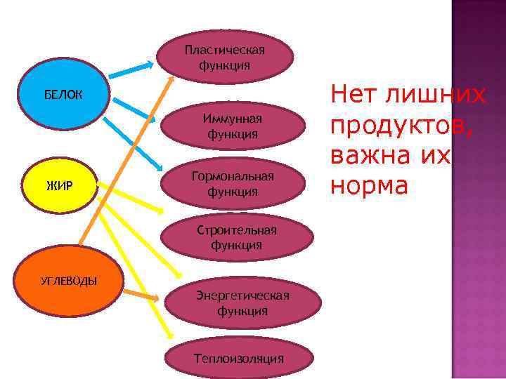  Пластическая функция БЕЛОК Нет лишних Иммунная функция продуктов, важна их норма Гормональная ЖИР