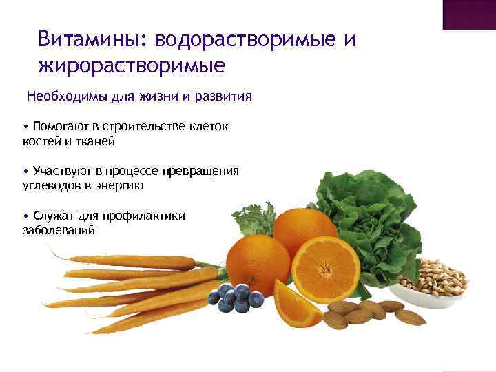 Водорастворимые и жирорастворимые витамины. Таблица продукты жирорастворимые водорастворимые. 2 водорастворимые витамины