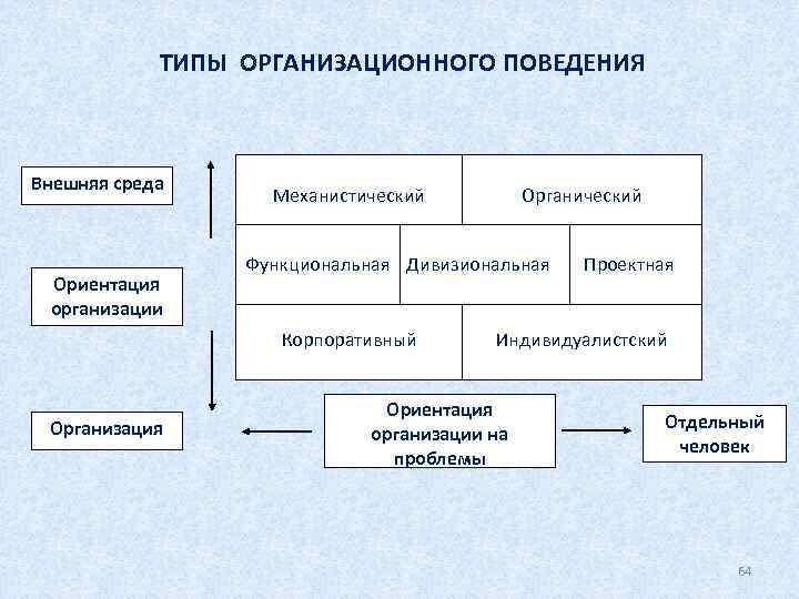 Функционально поведенческий. Виды организационного поведения. Типы организации организационное поведение.