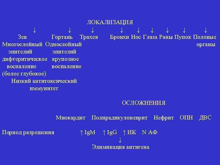 ЛОКАЛИЗАЦИЯ ↓ ↓ ↓ ↓ ↓ Зев Гортань Трахея Бронхи Нос Глаза Раны Пупок