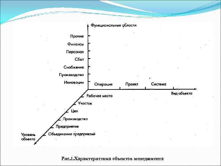 Рис. 1. Характеристика объектов менеджмента 