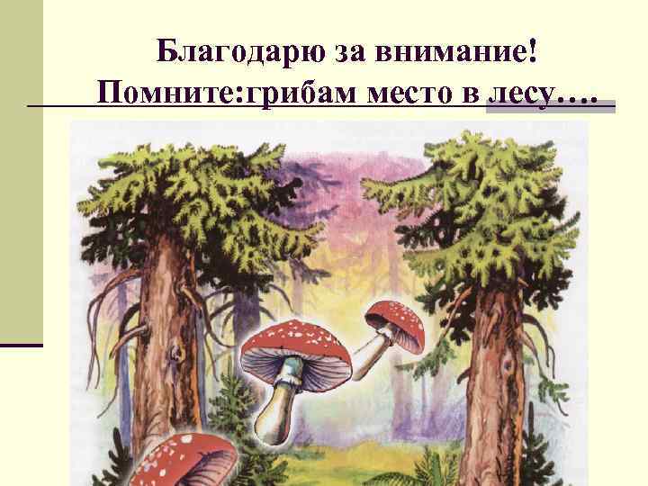 Благодарю за внимание! Помните: грибам место в лесу…. 