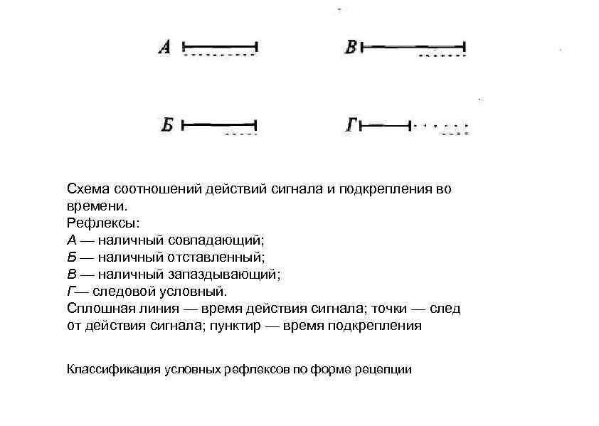 Схема соотношений действий сигнала и подкрепления во времени. Рефлексы: А — наличный совпадающий; Б