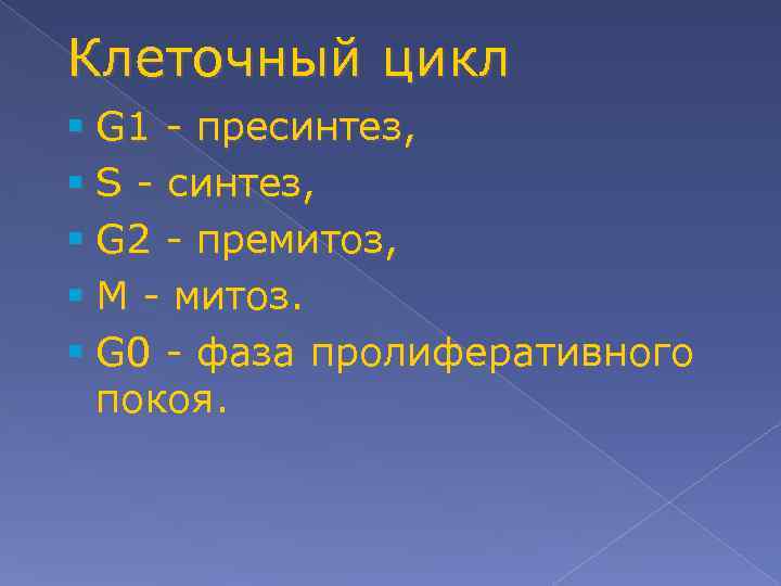 Клеточный цикл § G 1 - пресинтез, § S - синтез, § G 2