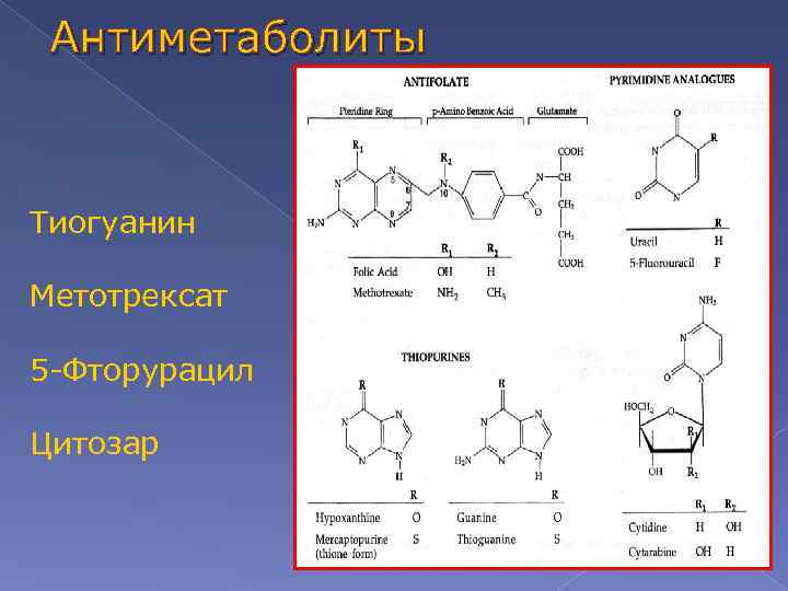 Антиметаболиты Тиогуанин Метотрексат 5 -Фторурацил Цитозар 