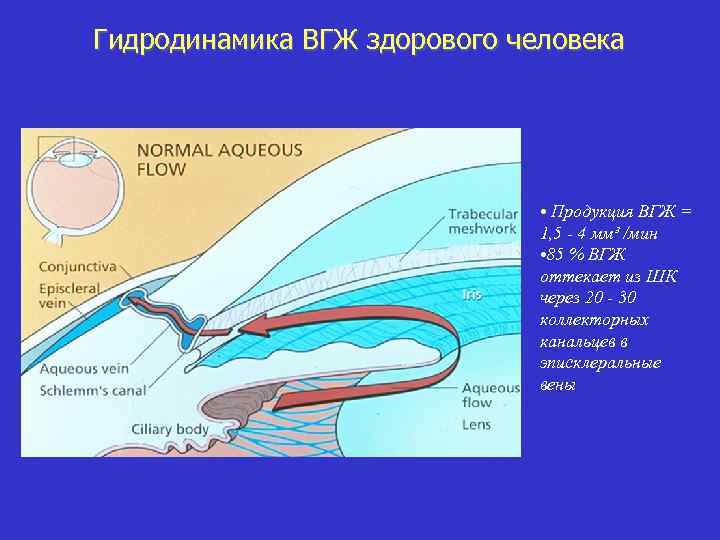 История гидродинамики