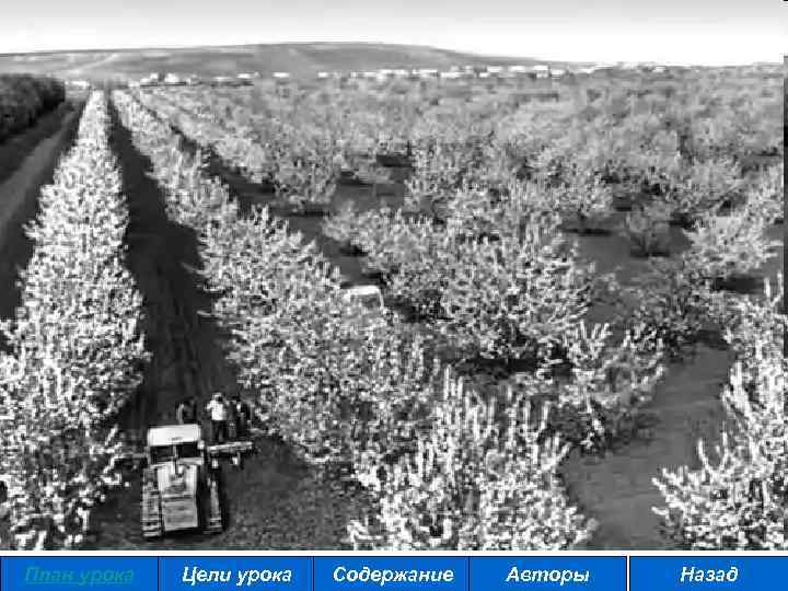 План урока Цели урока Содержание Авторы Назад 