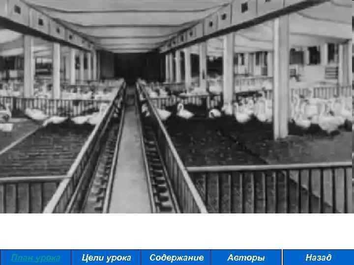 План урока Цели урока Содержание Авторы Назад 