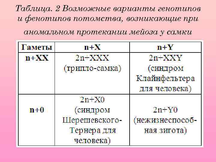 Таблица. 2 Возможные варианты генотипов и фенотипов потомства, возникающие при аномальном протекании мейоза у