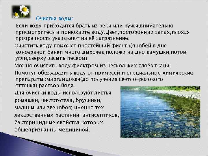 Очистка воды: Если воду приходится брать из реки или ручья, внимательно присмотритесь и понюхайте