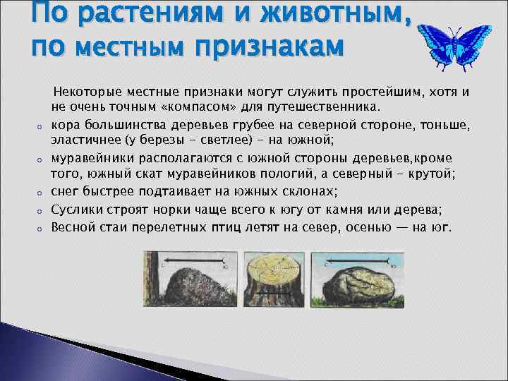 По растениям и животным, по местным признакам o o o Некоторые местные признаки могут
