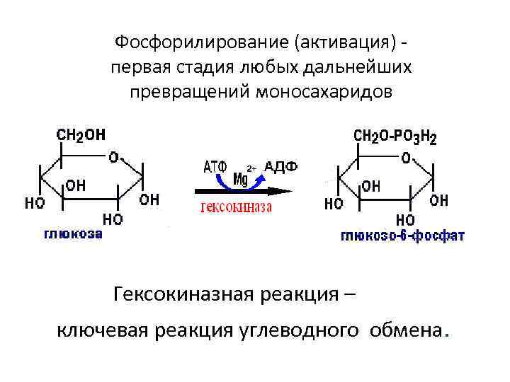 Первый искусственный синтез углеводов схема