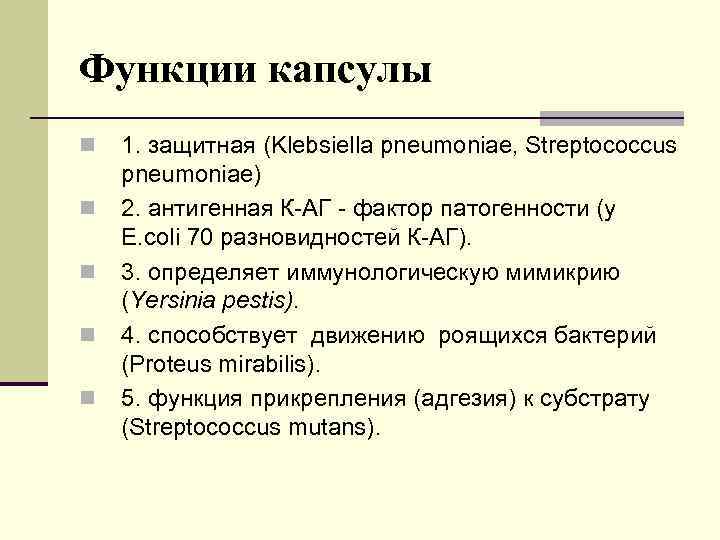 Функции капсулы n n n 1. защитная (Klebsiella pneumoniae, Streptococcus pneumoniae) 2. антигенная К-АГ