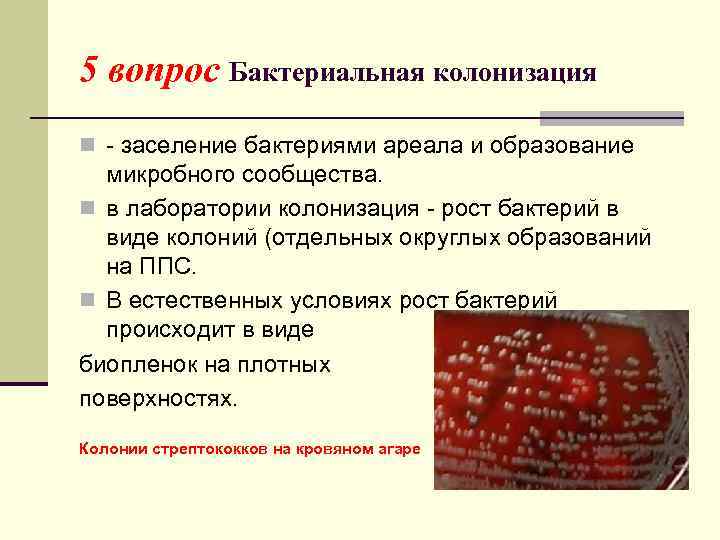 5 вопрос Бактериальная колонизация n - заселение бактериями ареала и образование микробного сообщества. n