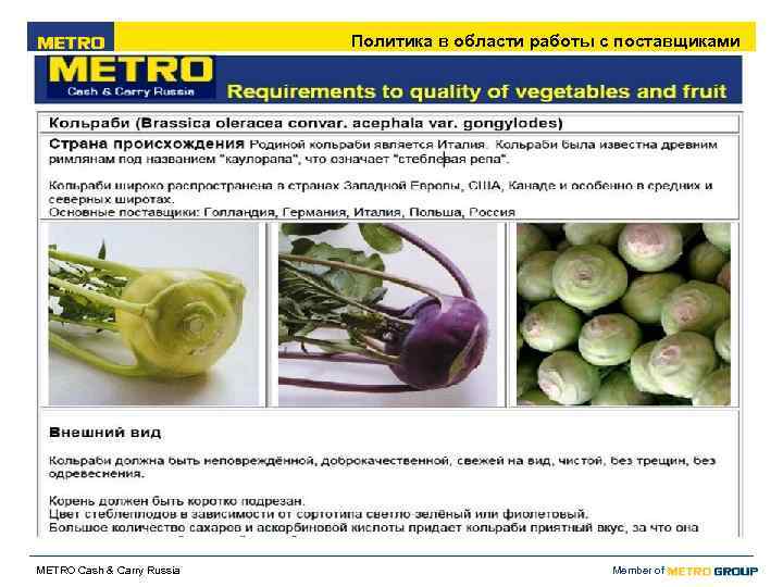       Политика в области работы с поставщиками METRO Cash
