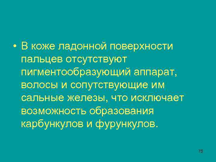  • В коже ладонной поверхности пальцев отсутствуют пигментообразующий аппарат, волосы и сопутствующие им