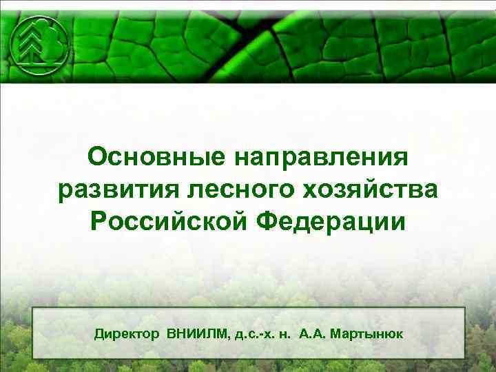Основные направления развития лесного хозяйства Российской Федерации Директор ВНИИЛМ, д. с. -х. н. А.