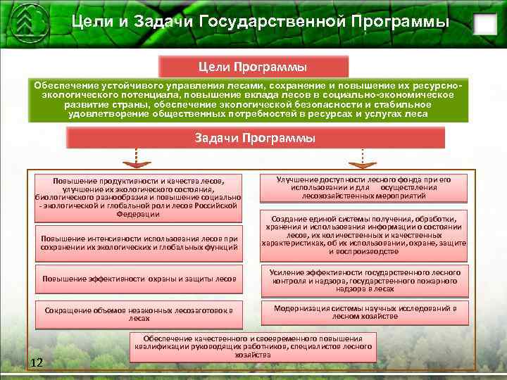 Цели и Задачи Государственной Программы Цели Программы Обеспечение устойчивого управления лесами, сохранение и повышение