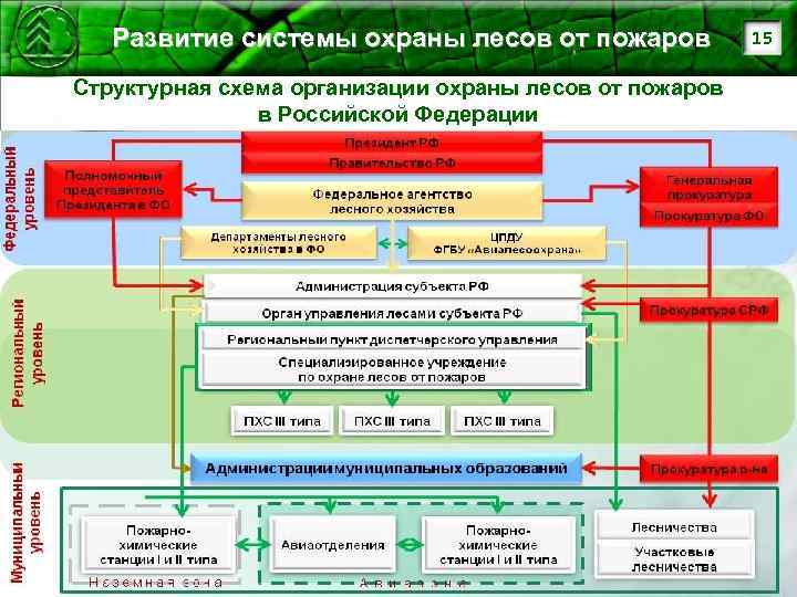 Развитие системы охраны лесов от пожаров Структурная схема организации охраны лесов от пожаров в