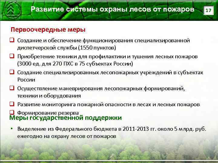 Развитие системы охраны лесов от пожаров 17 Первоочередные меры q Создание и обеспечение функционирования