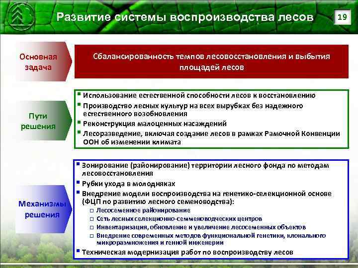 Состав проекта лесовосстановления