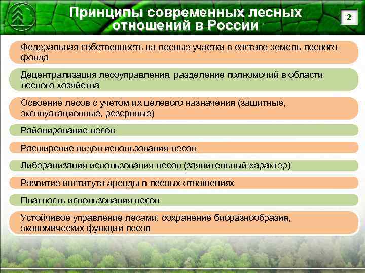 Лесные правоотношения. Государственная программа «развитие лесного хозяйства» ppt.