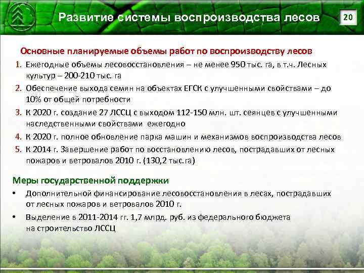 Развитие системы воспроизводства лесов Основные планируемые объемы работ по воспроизводству лесов 1. Ежегодные объемы