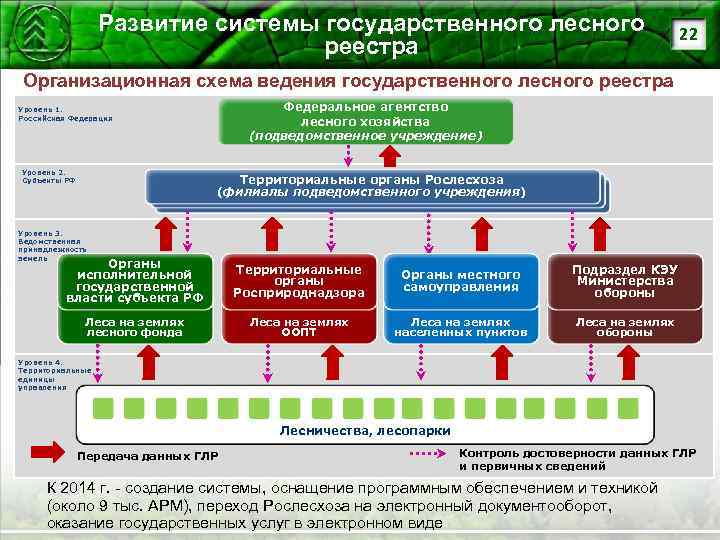 Государственный лесной реестр карта