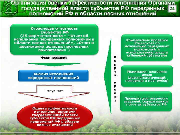 Организация оценки эффективности исполнения Органами государственной власти субъектов РФ переданных 24 полномочий РФ в