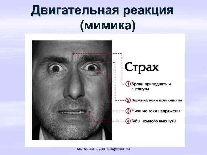Двигательная реакция (мимика) материалы для обсуждения 
