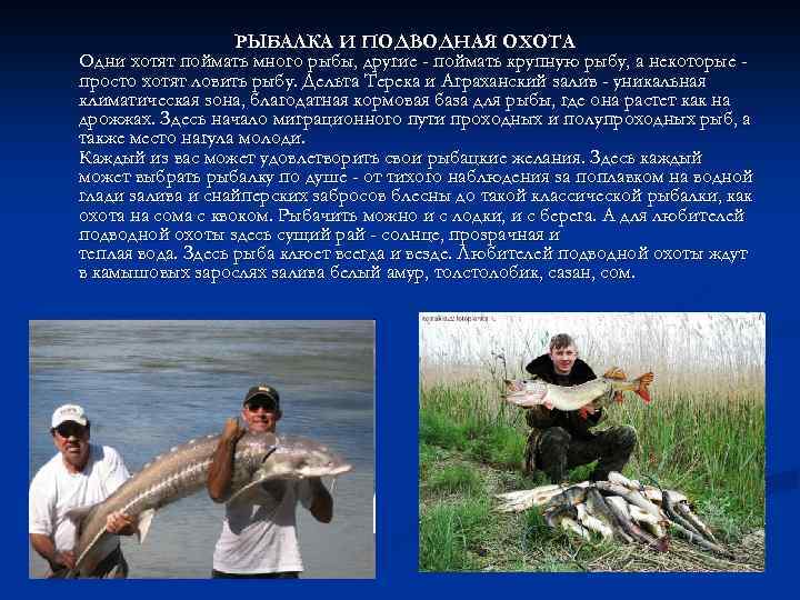 РЫБАЛКА И ПОДВОДНАЯ ОХОТА Одни хотят поймать много рыбы, другие - поймать крупную рыбу,