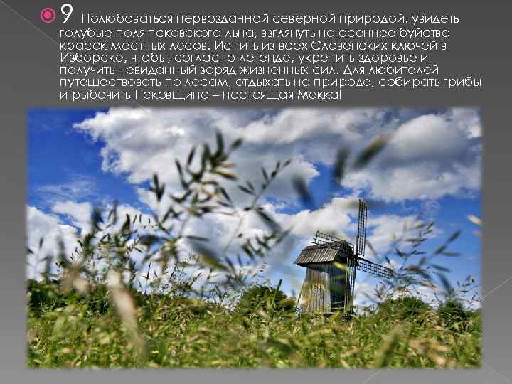  9 Полюбоваться первозданной северной природой, увидеть голубые поля псковского льна, взглянуть на осеннее