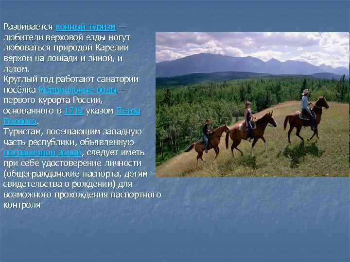 Развивается конный туризм — любители верховой езды могут любоваться природой Карелии верхом на лошади