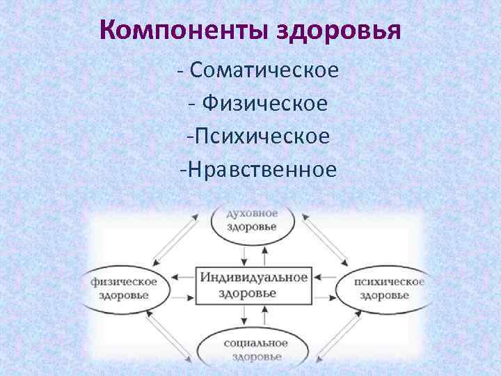 Картинки компоненты здоровья