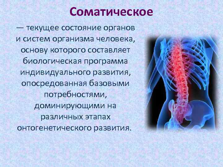 Соматическое — текущее состояние органов и систем организма человека, основу которого составляет биологическая программа