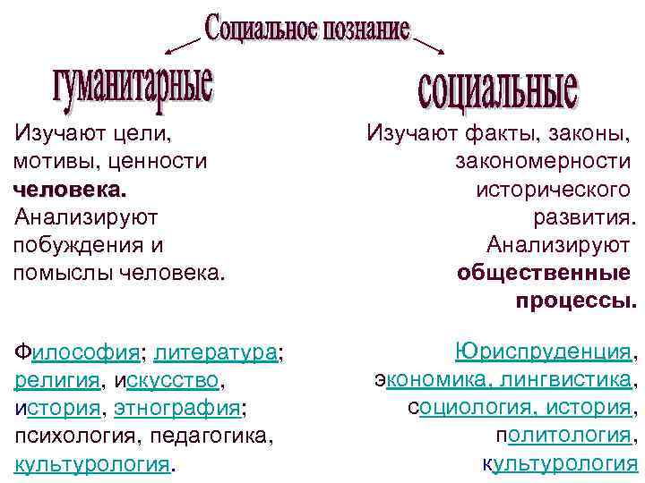  Изучают цели, мотивы, ценности человека. Анализируют побуждения и помыслы человека. Философия; литература; религия,