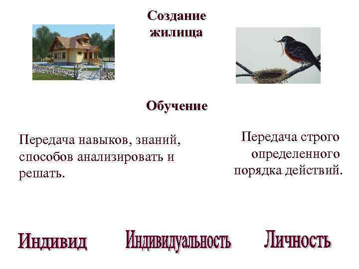 Создание жилища Обучение Передача навыков, знаний, способов анализировать и решать. Передача строго определенного порядка