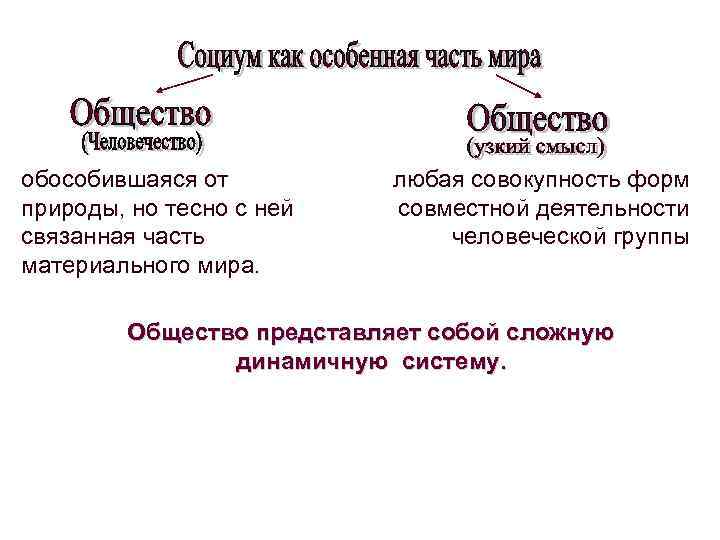 обособившаяся от любая совокупность форм природы, но тесно с ней совместной деятельности связанная часть