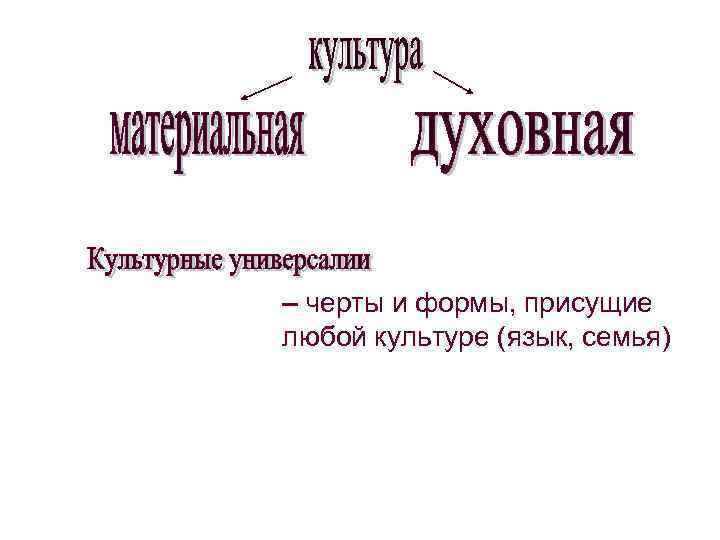 – черты и формы, присущие любой культуре (язык, семья) 